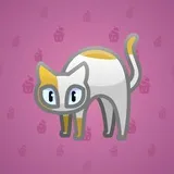 Scared Cat #13913 Scared Cat #13913