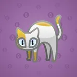 Scared Cat #13928