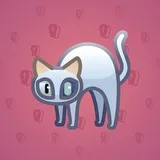 Scared Cat #13969 Scared Cat #13969