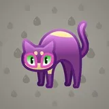 Scared Cat #13974 Scared Cat #13974