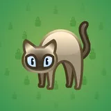 Scared Cat #1403 Scared Cat #1403