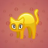 Scared Cat #14095 Scared Cat #14095