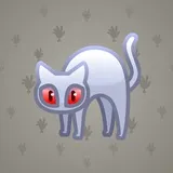 Scared Cat #14202 Scared Cat #14202