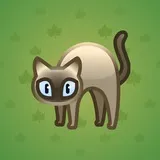 Scared Cat #14309 Scared Cat #14309