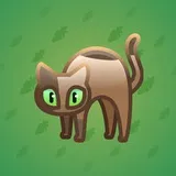 Scared Cat #1436 Scared Cat #1436