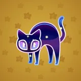 Scared Cat #14599 Scared Cat #14599