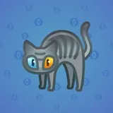 Scared Cat #14656 Scared Cat #14656