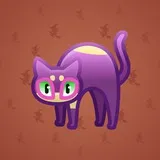 Scared Cat #14663 Scared Cat #14663