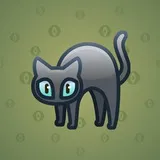 Scared Cat #14725 Scared Cat #14725