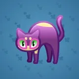 Scared Cat #1481 Scared Cat #1481
