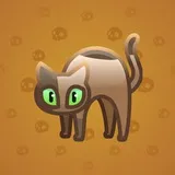 Scared Cat #14851 Scared Cat #14851
