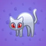 Scared Cat #14886 Scared Cat #14886