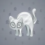 Scared Cat #14899 Scared Cat #14899