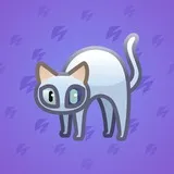 Scared Cat #14948 Scared Cat #14948