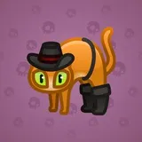 Scared Cat #14962 Scared Cat #14962