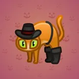 Scared Cat #15214 Scared Cat #15214