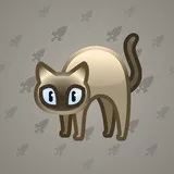 Scared Cat #15333 Scared Cat #15333