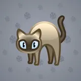 Scared Cat #15437 Scared Cat #15437