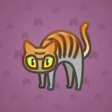 Scared Cat #15455 Scared Cat #15455