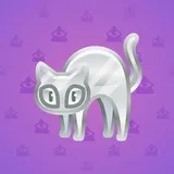 Scared Cat #15556 Scared Cat #15556