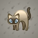 Scared Cat #15614 Scared Cat #15614