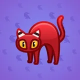 Scared Cat #15666 Scared Cat #15666