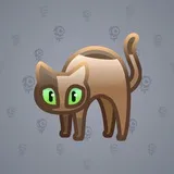 Scared Cat #15679 Scared Cat #15679