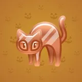 Scared Cat #15814 Scared Cat #15814