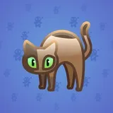 Scared Cat #15881 Scared Cat #15881