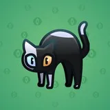 Scared Cat #15924 Scared Cat #15924