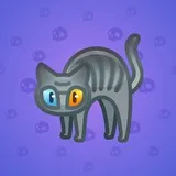 Scared Cat #15971 Scared Cat #15971