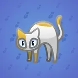 Scared Cat #15981 Scared Cat #15981