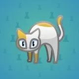 Scared Cat #16088 Scared Cat #16088