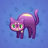 Scared Cat #16239 Scared Cat #16239