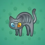 Scared Cat #16276 Scared Cat #16276