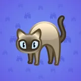 Scared Cat #16294 Scared Cat #16294