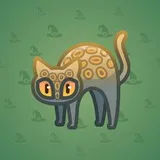 Scared Cat #1632 Scared Cat #1632