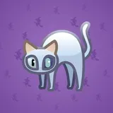 Scared Cat #16349 Scared Cat #16349