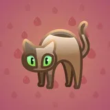 Scared Cat #16392 Scared Cat #16392