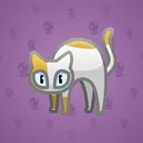 Scared Cat #16397 Scared Cat #16397