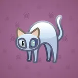 Scared Cat #16421 Scared Cat #16421