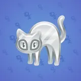 Scared Cat #16479 Scared Cat #16479