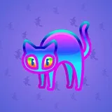 Scared Cat #16546 Scared Cat #16546