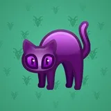 Scared Cat #16670 Scared Cat #16670