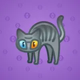 Scared Cat #16717 Scared Cat #16717