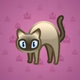 Scared Cat #16723 Scared Cat #16723