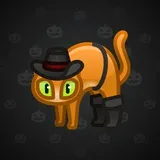 Scared Cat #16741 Scared Cat #16741