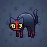 Scared Cat #16804 Scared Cat #16804
