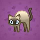Scared Cat #16855 Scared Cat #16855