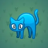 Scared Cat #16873 Scared Cat #16873